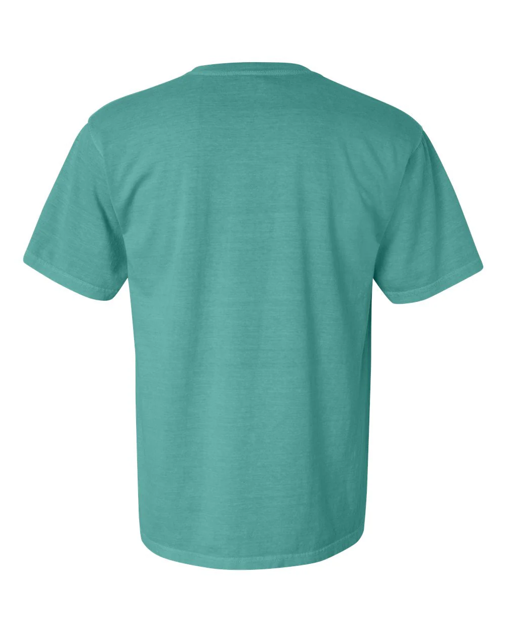 Comfort Colors 1717 T-Shirt Package (100 Pieces) - Image 109