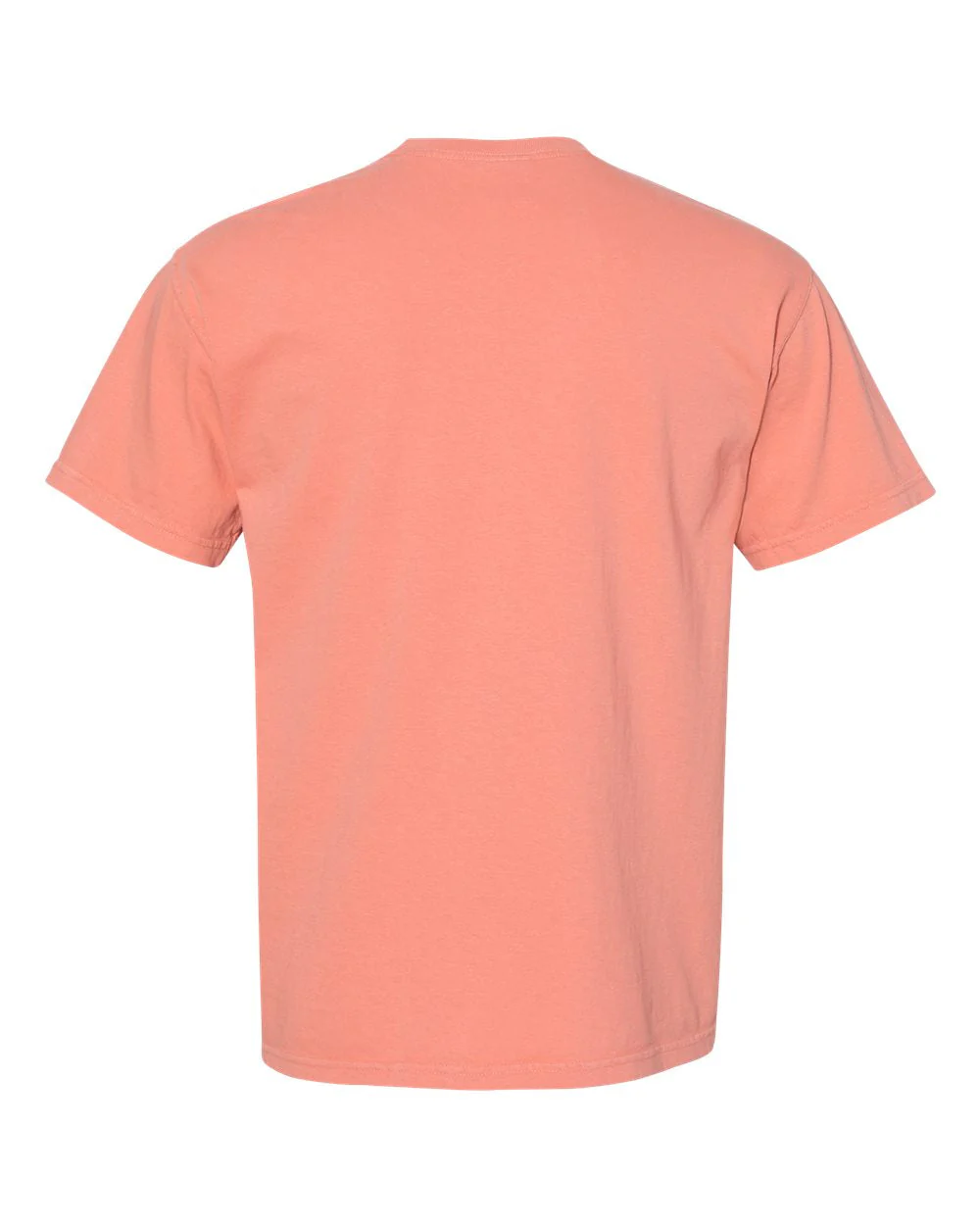 Comfort Colors 1717 T-Shirt Package (100 Pieces) - Image 111