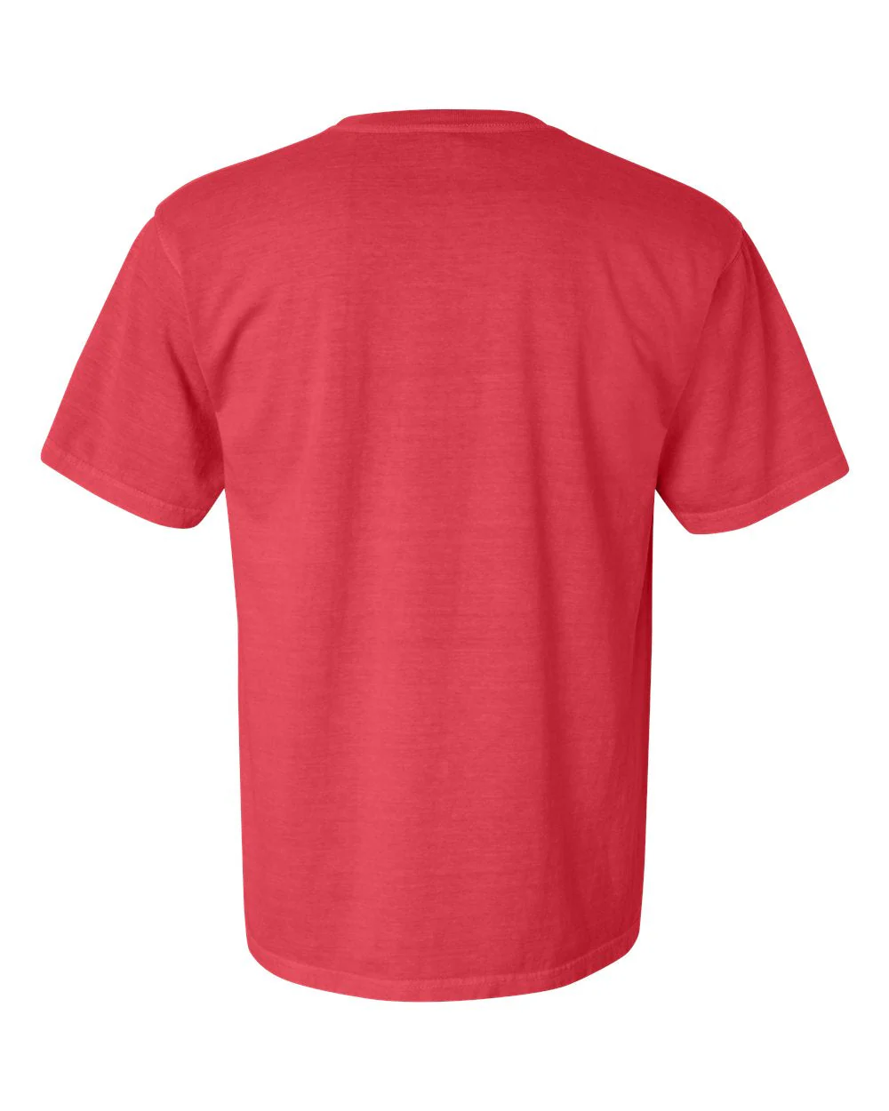 Comfort Colors 1717 T-Shirt Package (100 Pieces) - Image 119