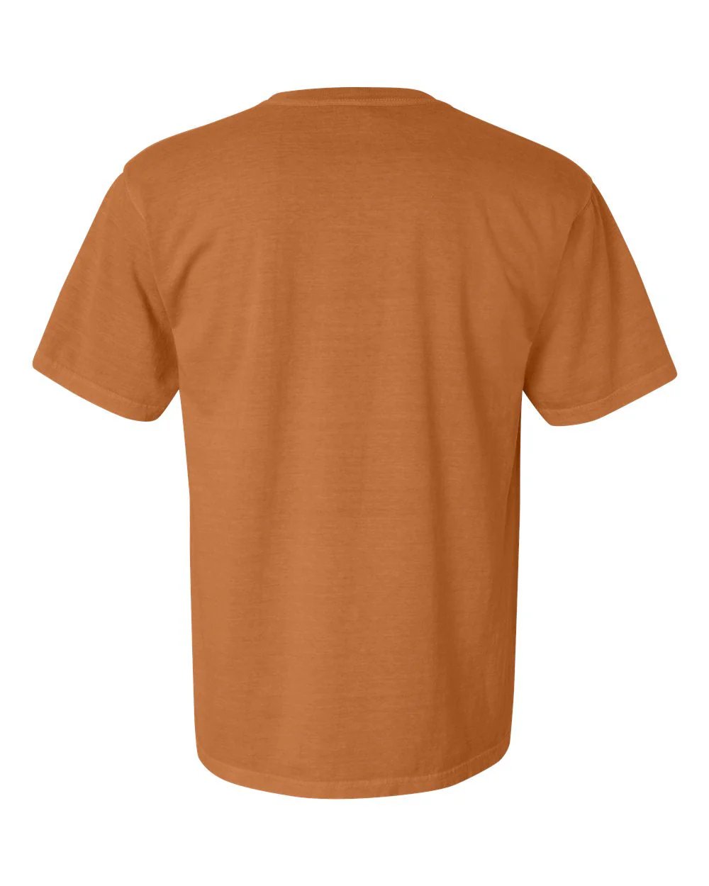 Comfort Colors 1717 T-Shirt Package (100 Pieces) - Image 123