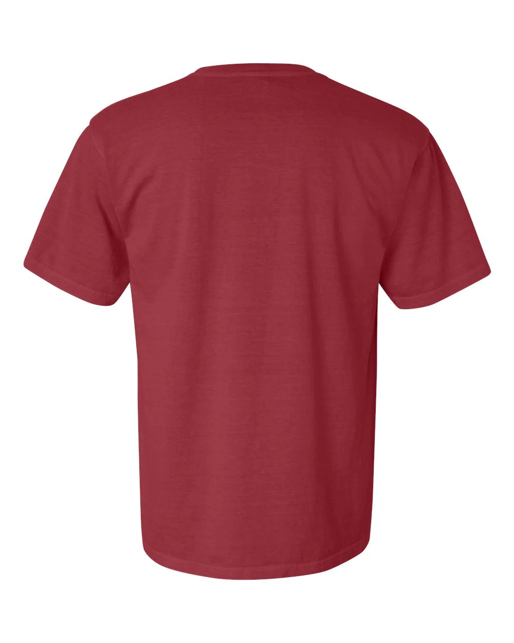 Comfort Colors 1717 T-Shirt Package (100 Pieces) - Image 41