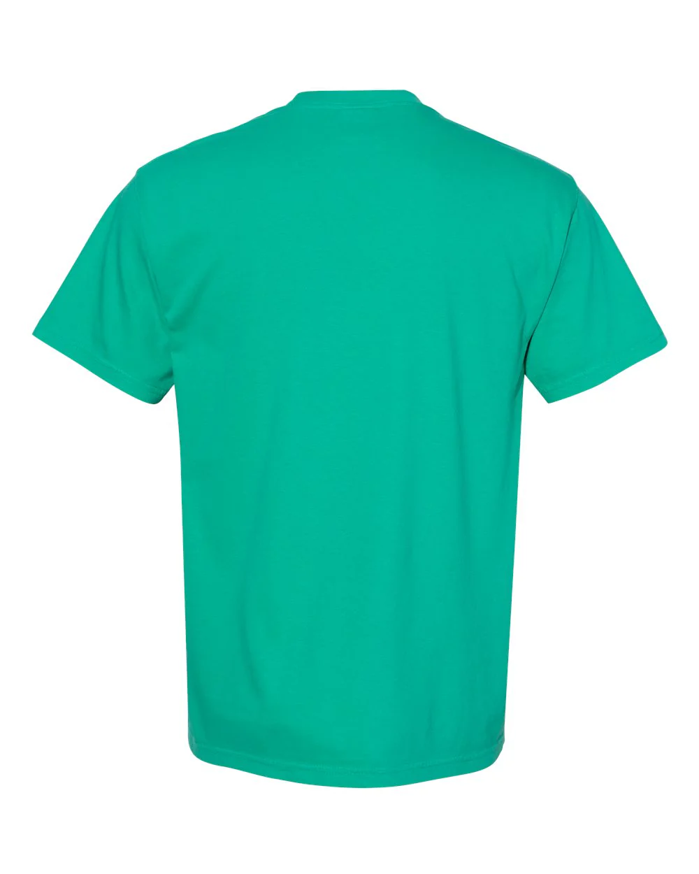 Comfort Colors 1717 T-Shirt Package (100 Pieces) - Image 67