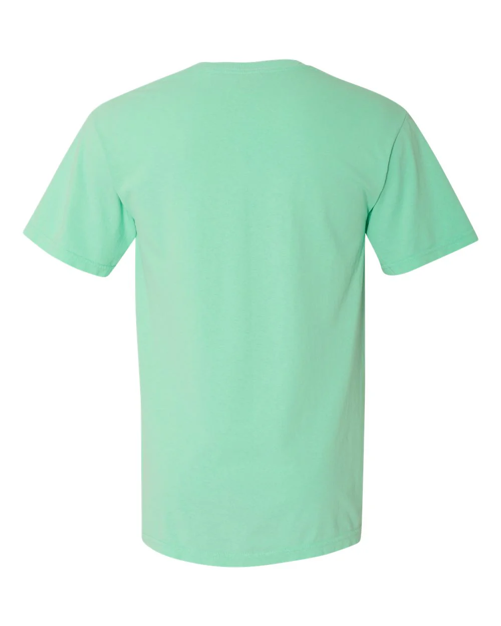Comfort Colors 1717 T-Shirt Package (100 Pieces) - Image 69