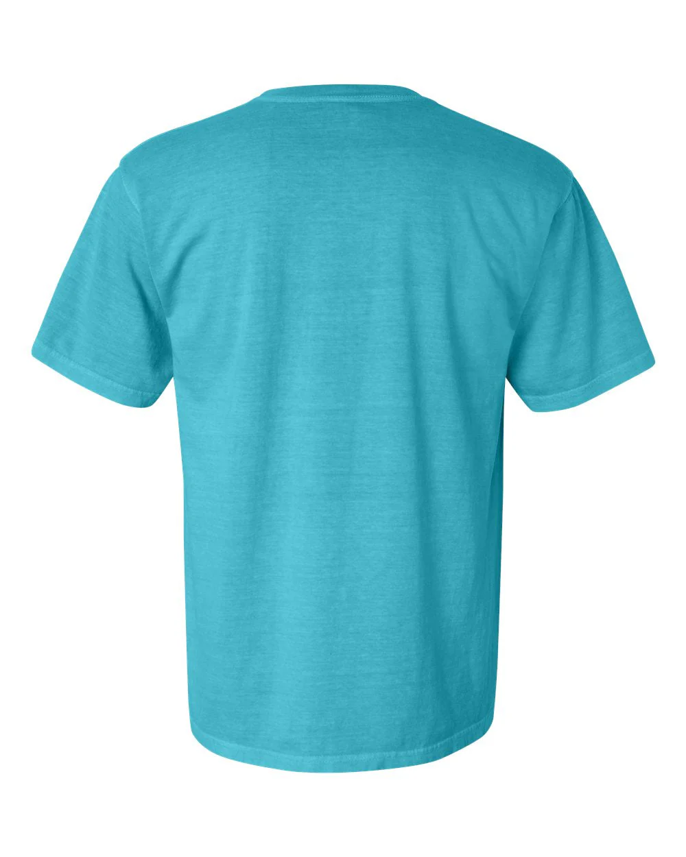 Comfort Colors 1717 T-Shirt Package (100 Pieces) - Image 75