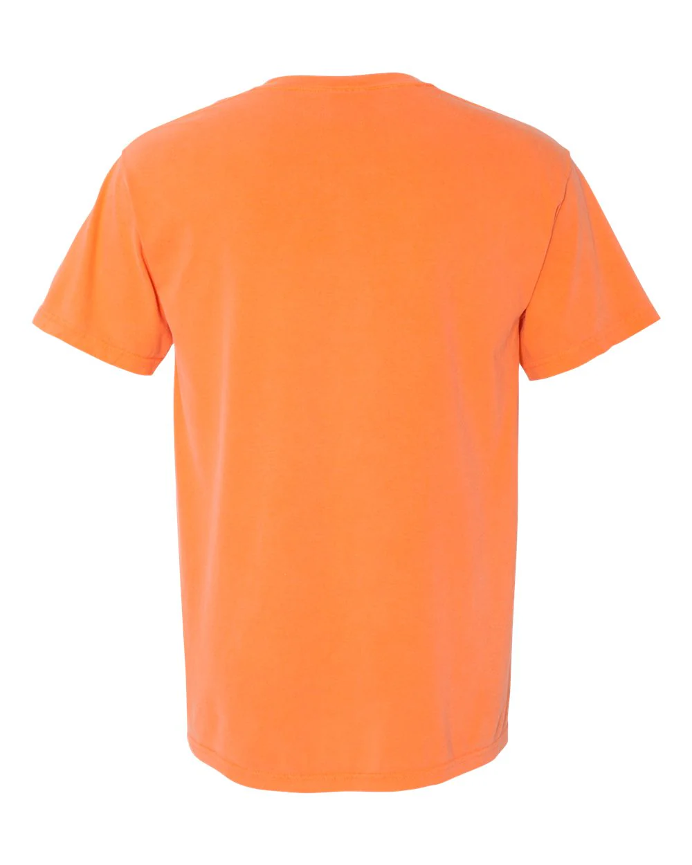Comfort Colors 1717 T-Shirt Package (100 Pieces) - Image 79